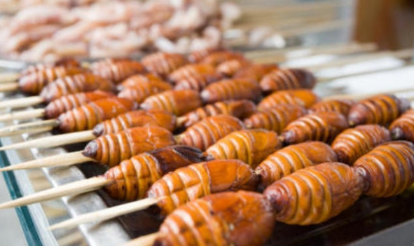 Expo e le sfide alimentari del futuro