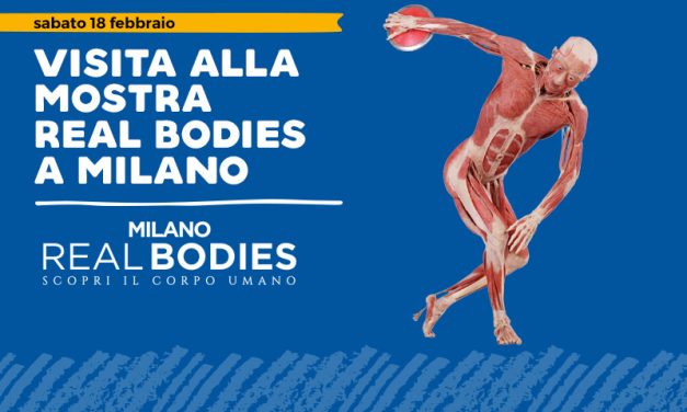 Real Bodies