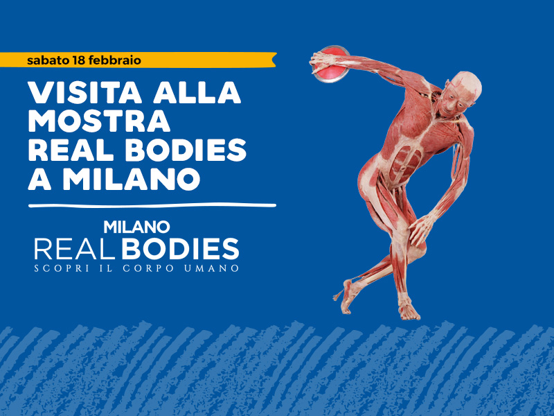 Real Bodies