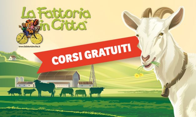 Fattoria in città tra tagliatelle fatte in casa e arte locale