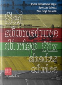 Sei-sfumature-di-riso